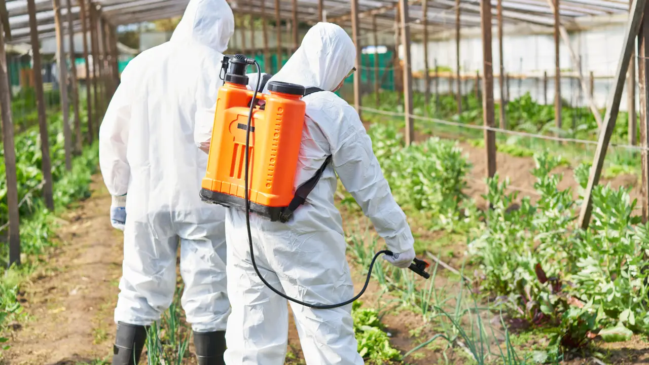 Farmers using chemicals