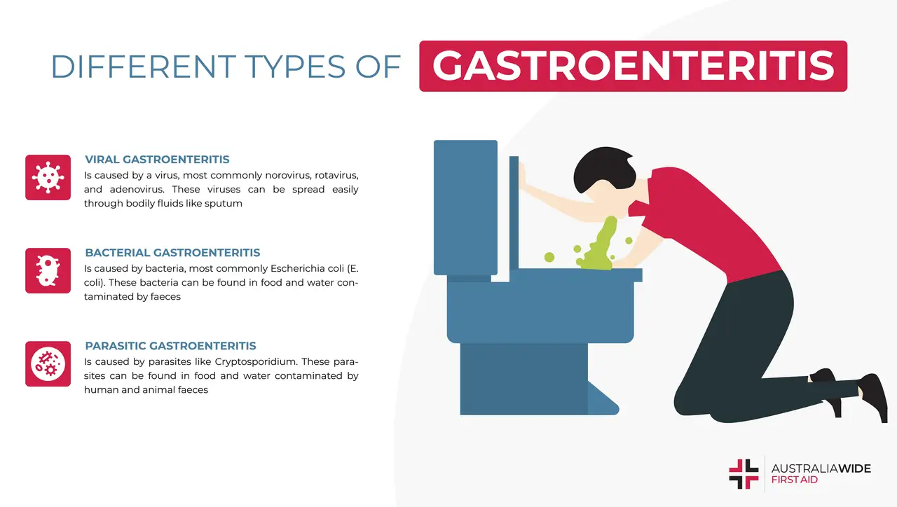 Infographic about Different Types of Gastroenteritis