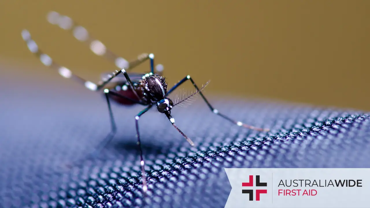 A close up of a mosquito on blue mesh clothing