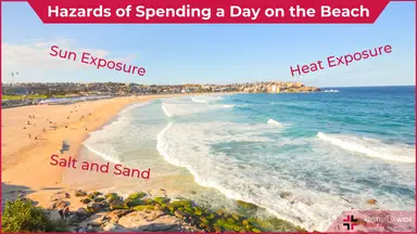 Beach Hazards article header