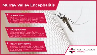 Infographic about Murray Valley Encephalitis