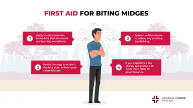 Infographic on First Aid for Biting Midges 