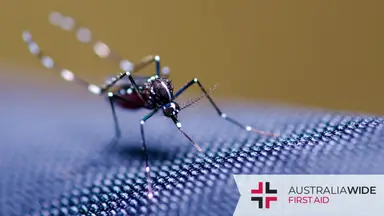 A close up of a mosquito on blue mesh clothing