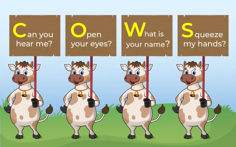 COWS instructions for a response in DRSABCD